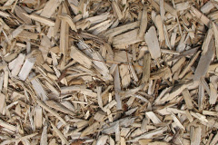 biomass boilers Purlogue